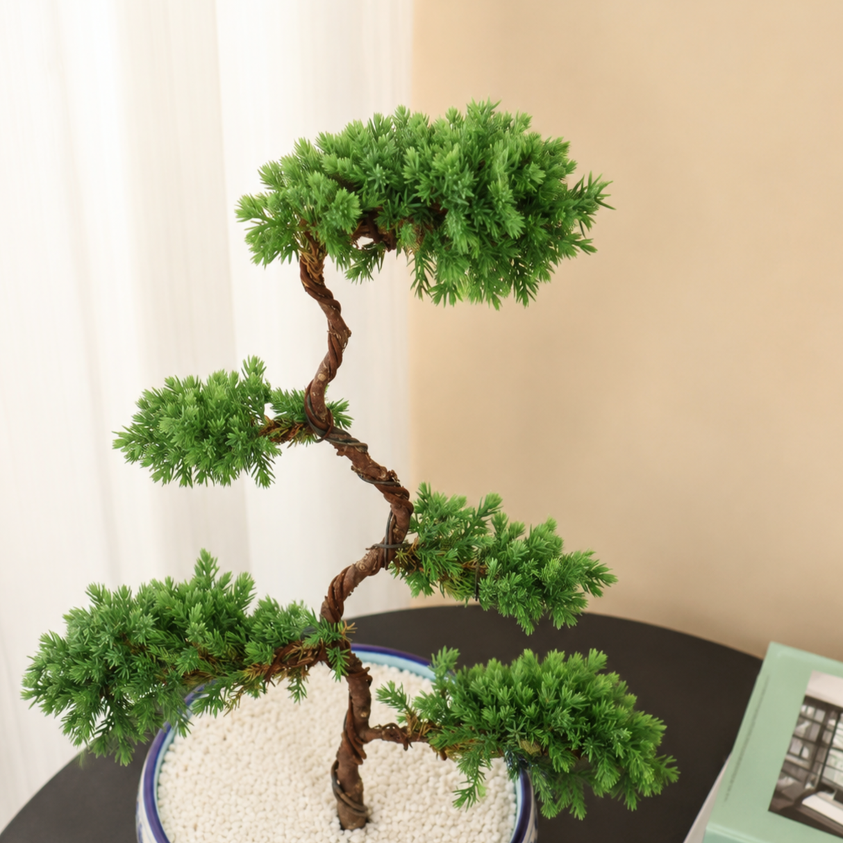 Chinese Juniper (Pine Bonsai) in Ceramic Pot
