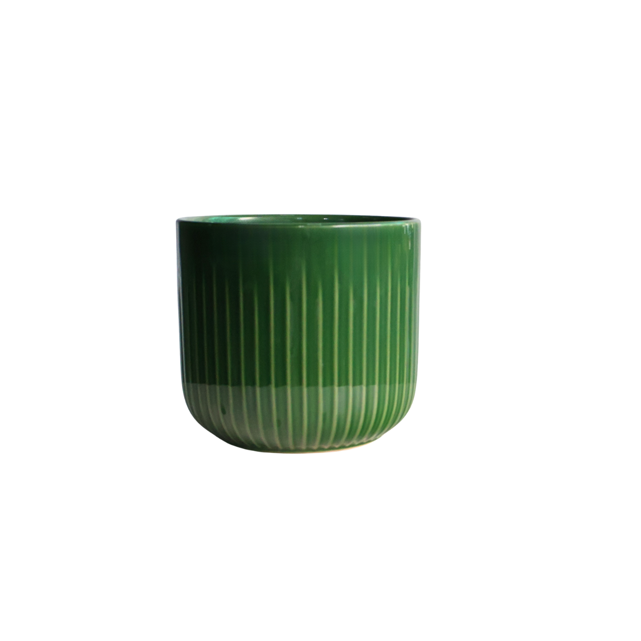 Green Pot Ribbed Small Emerald Green Ribbed Ceramic Pot| JM Flower