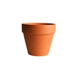 TerraCotta Pot