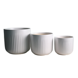 Ivory White Ribbed Ceramic Pot