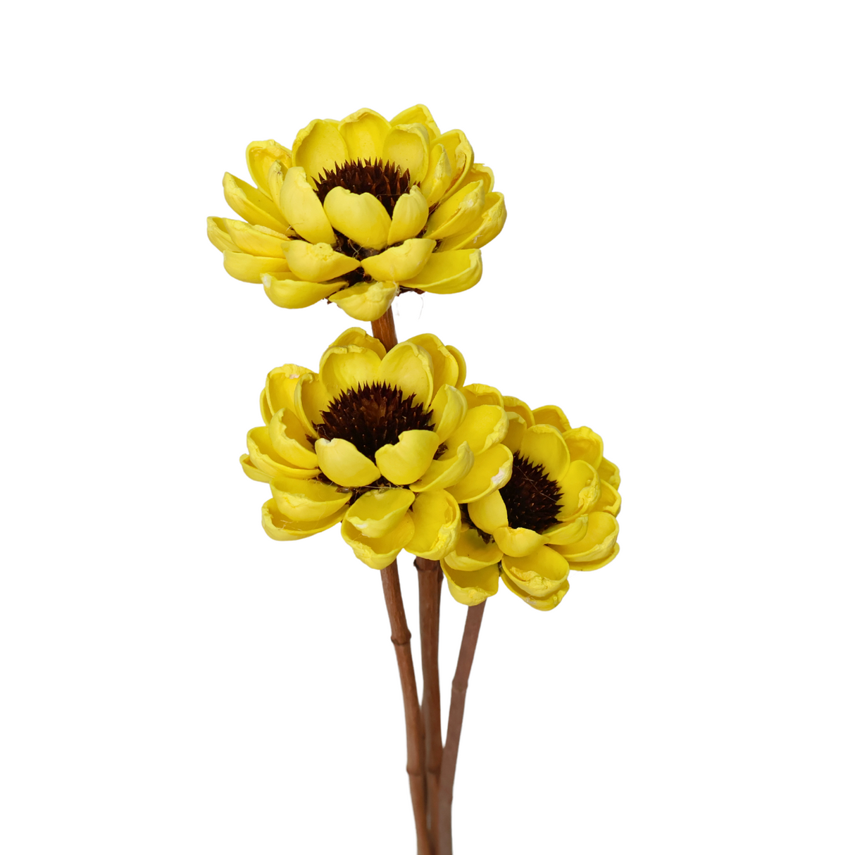 Rudbeckia — Hand Crafted Art Flower