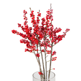 Ilex Verticillata / Winterberry 50cm (Holland)