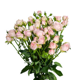 Rose Spray Small Bunch (China)