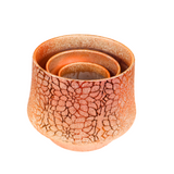 Rose Gold 591 POT