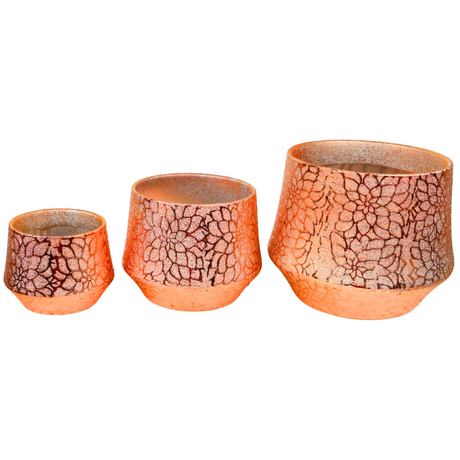 Rose Gold 591 POT