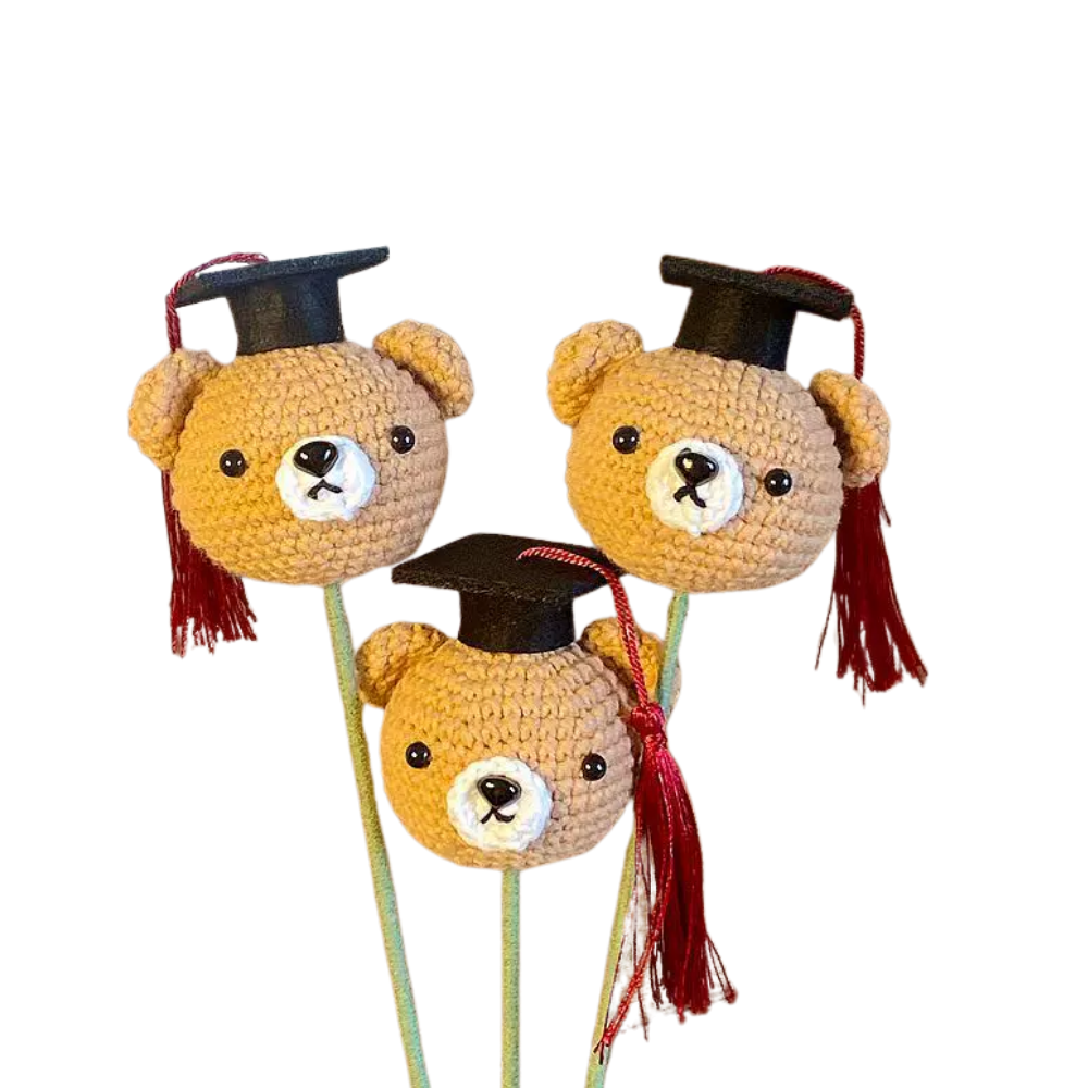 Bear Crochet Graduate Topper
