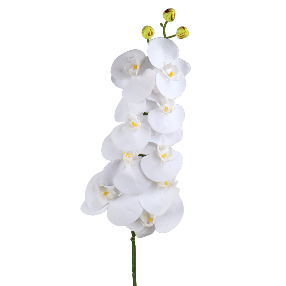 Artificial Phalaenopsis