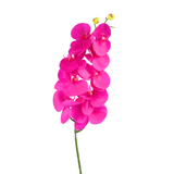 Artificial Phalaenopsis