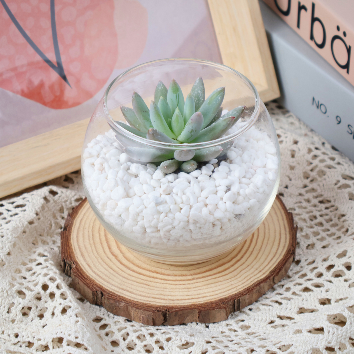 Mini Succulent in Glass Bowl