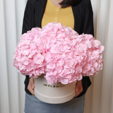 Blush Elegance (Hydrangea) - Table Flower Arrangement