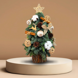 Barnwood Beauty - Fresh Mini Christmas Tree