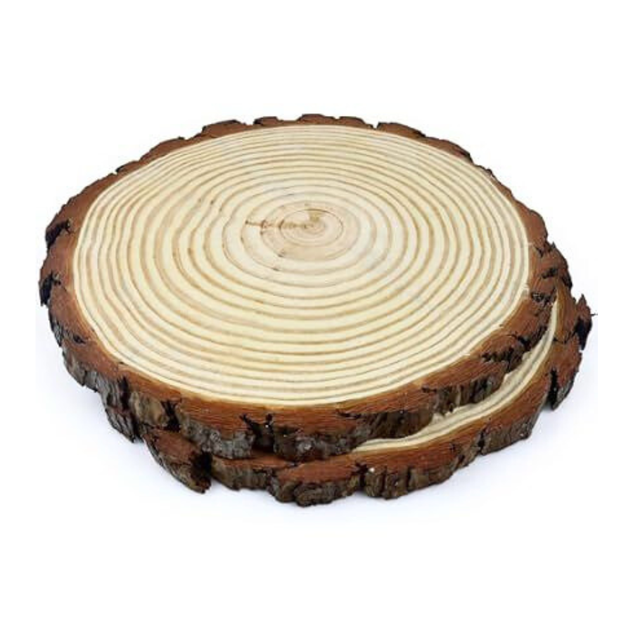 Wood Slices