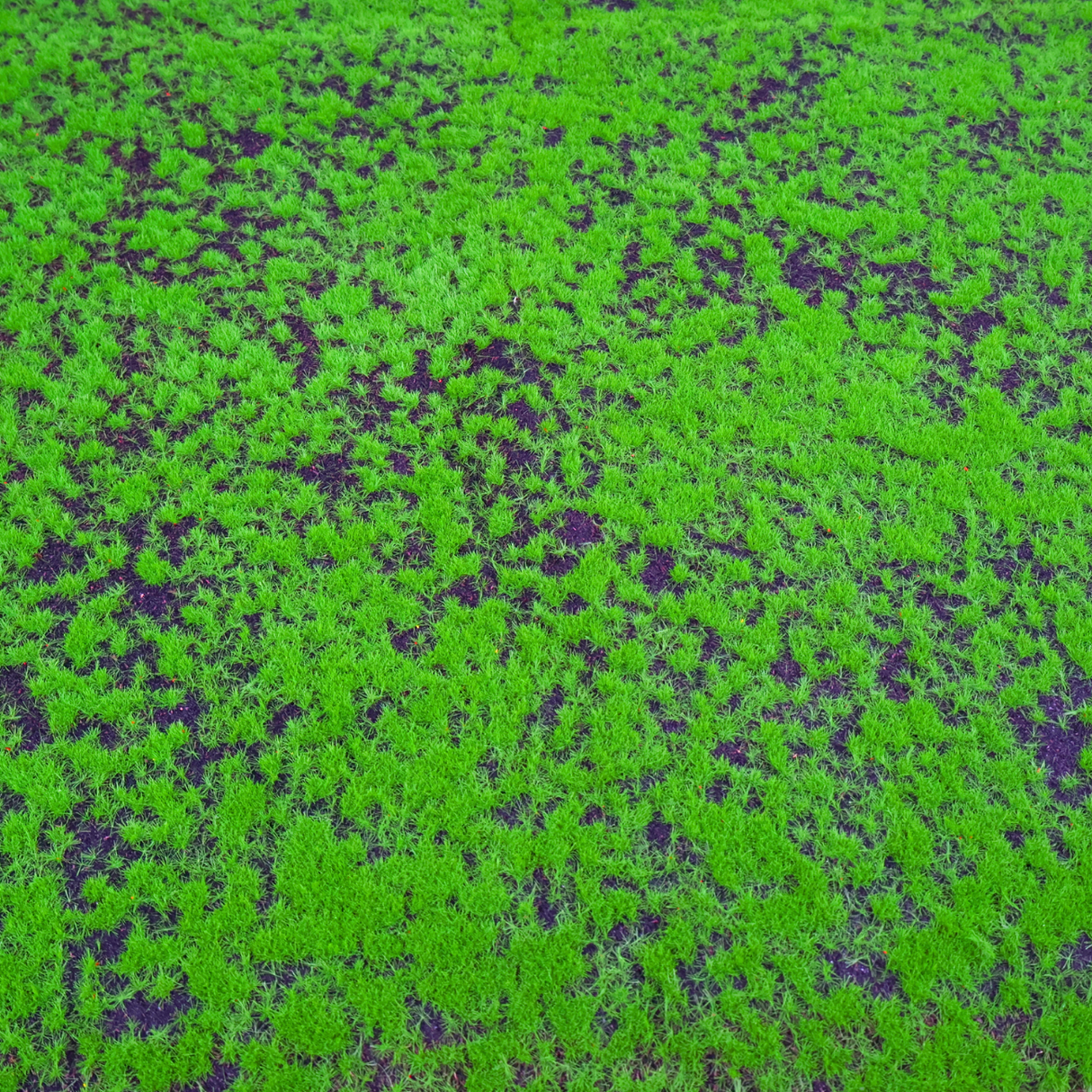 Art-sob 1x1 Carpet Grass