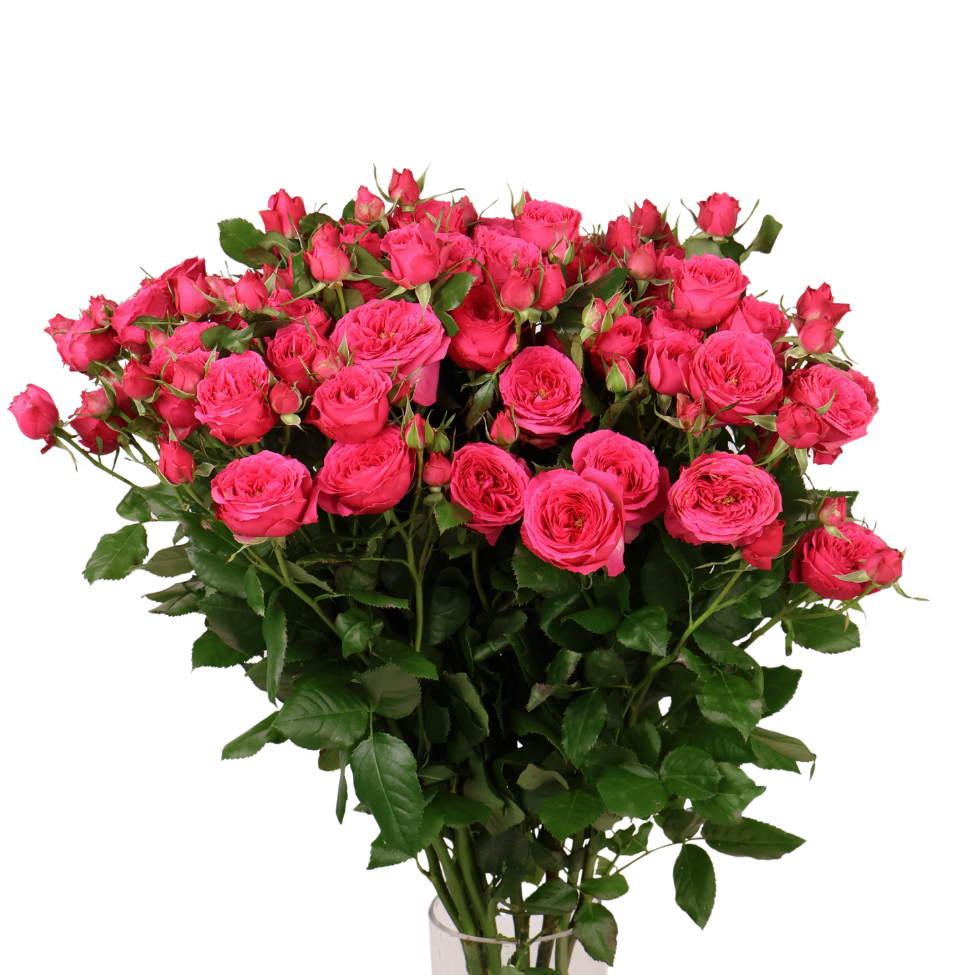 Rose Spray Small Bunch (China)