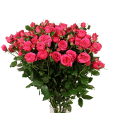 Rose Spray Small Bunch (China)