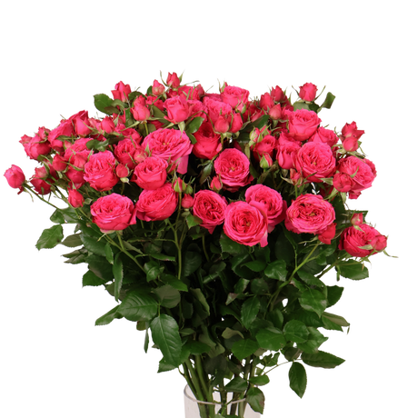 Rose Spray Small Bunch (China)