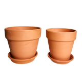 Terracotta Pot