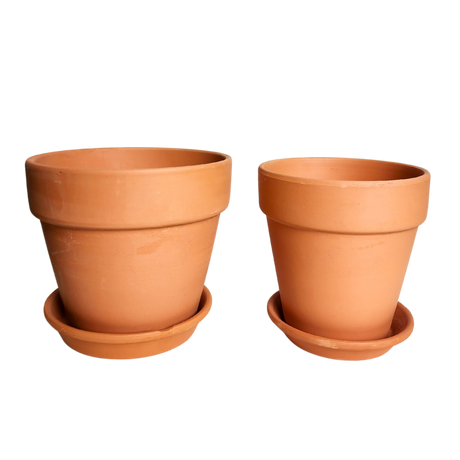 Terracotta Pot