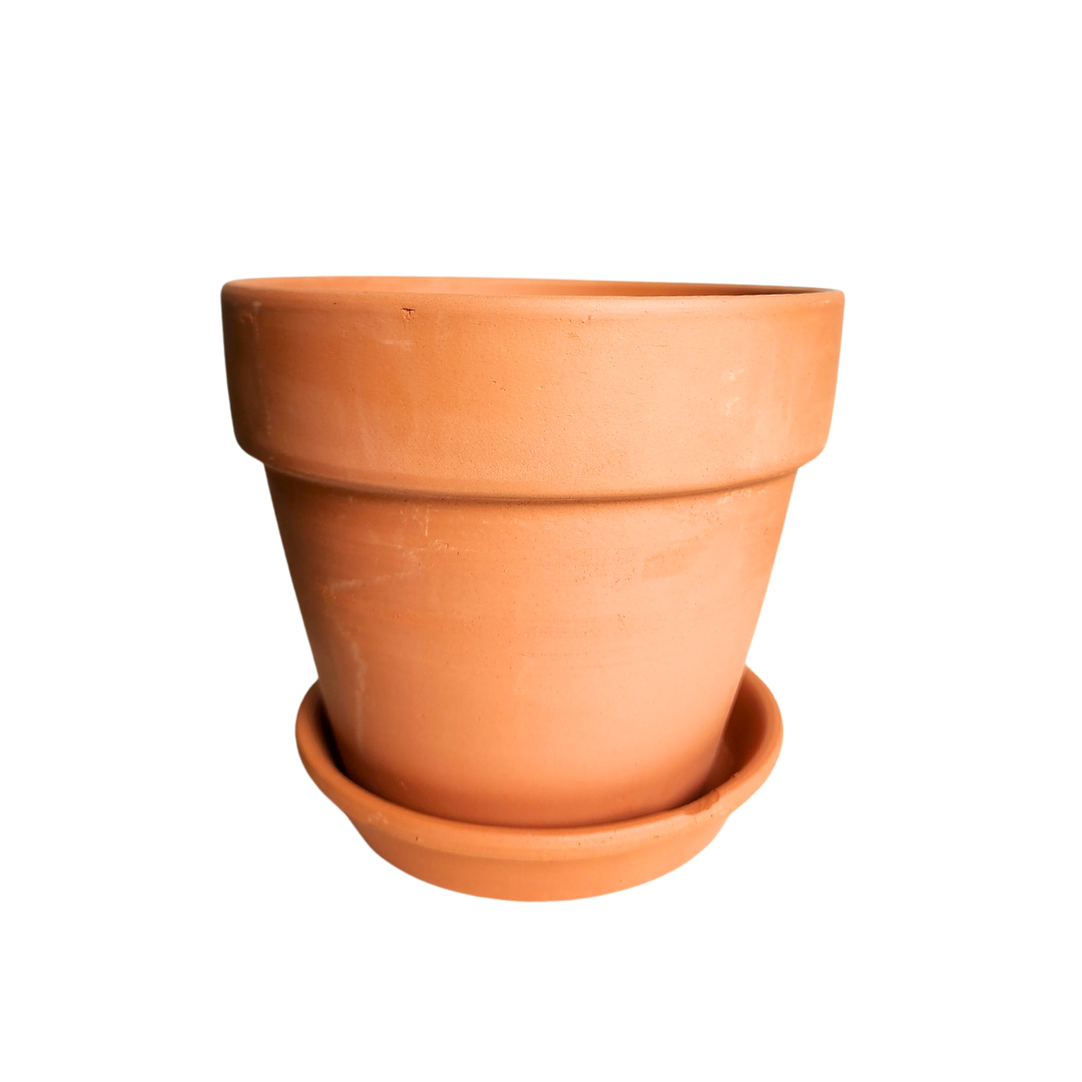 Terracotta Pot