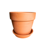 Terracotta Pot