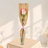 Carnation Single Stalk - Colored Sleeve