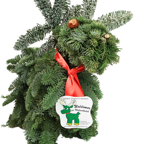 Nobilis Waltermart Reindeer (Holland)