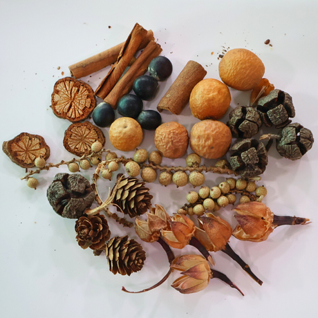 Preserved Natural Dried Flowers