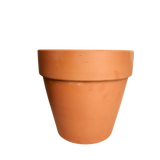 Terra Cotta pot