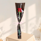 Carnation Single Stalk - Colored Sleeve