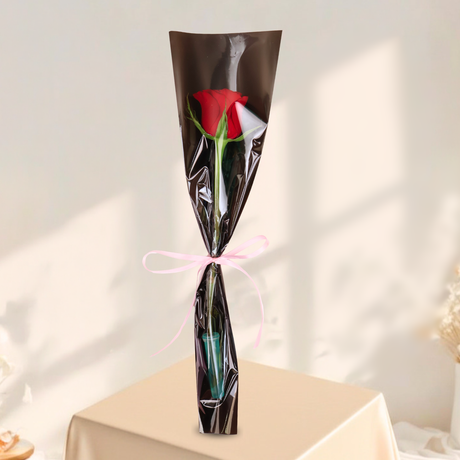 Rose Single Stalk - Colored Sleeve