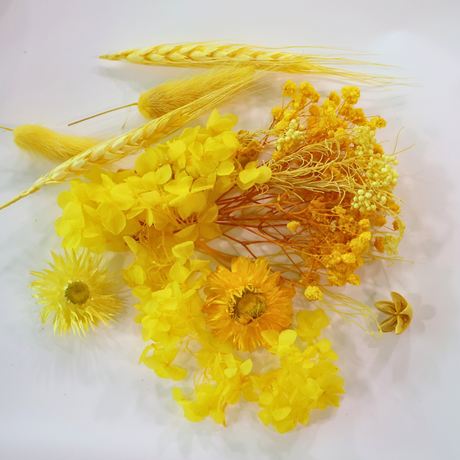 Preserved Natural Dried Flowers