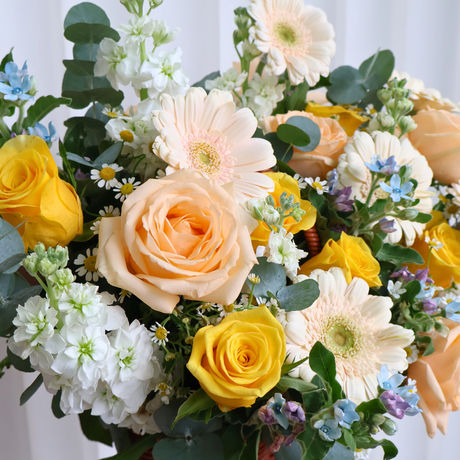 Blooming Joy (Roses, Gerbera, Tweedia) - Flower Basket