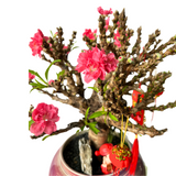 Cherry Blossom Boutique Plant 285