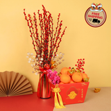 Prosper Victory - 18 Oranges & 20 Pussy Willow Bundle Set