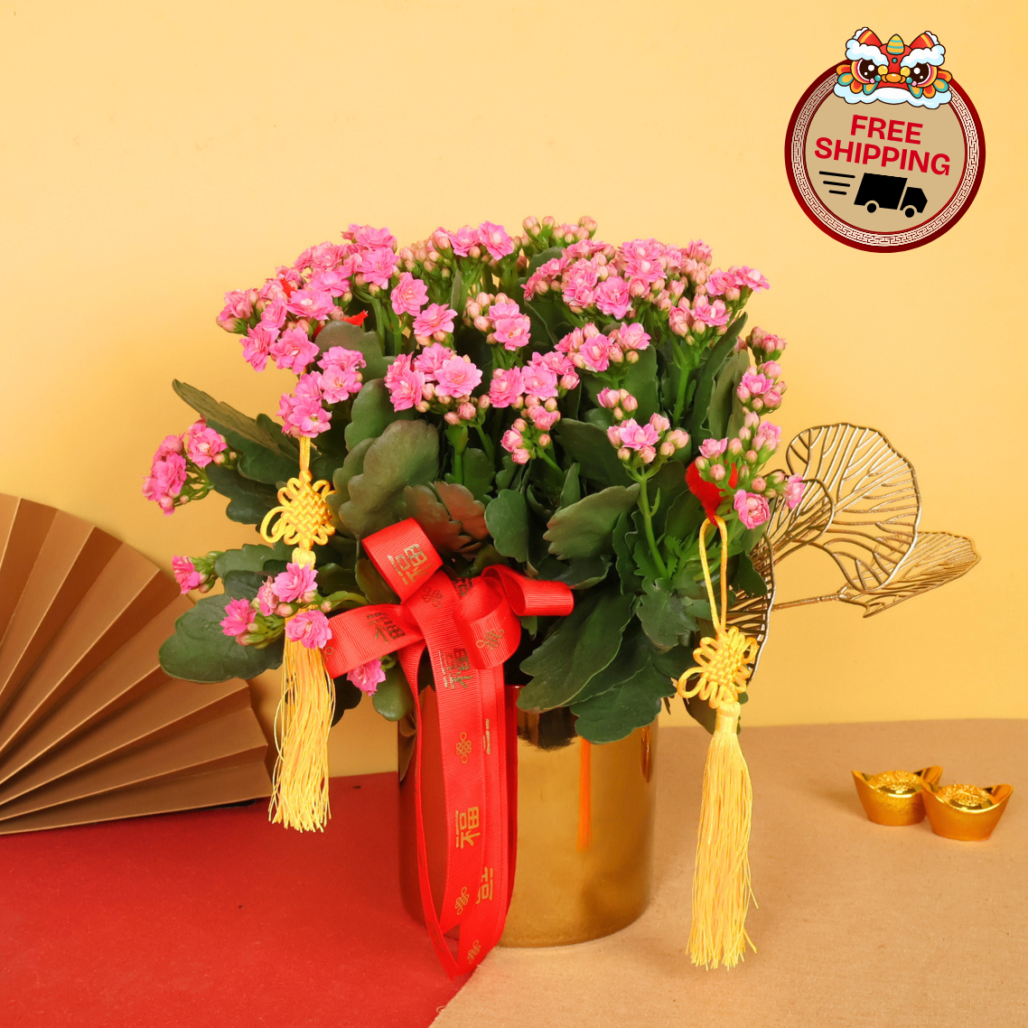 Aurea Blossom (Kalanchoe 万紫千红) - CNY Plant