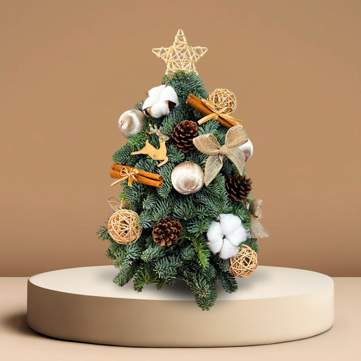 Barnwood Beauty Fresh Mini Christmas Tree1