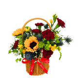 Basket of Sunshine (2 Sunflower, Carnation)
