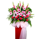 Congratulatory