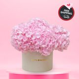 Blush Elegance (Hydrangea) - Valentine Flower Box