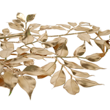 Artificial Gold Ruscus 80cm