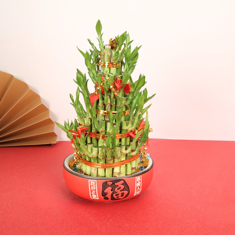 Lucky Bamboo Tower Decorated (5/8 Layers)