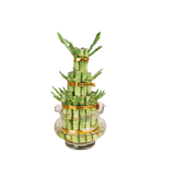 Lucky Bamboo Tower Undecorated (3/5 Layers)