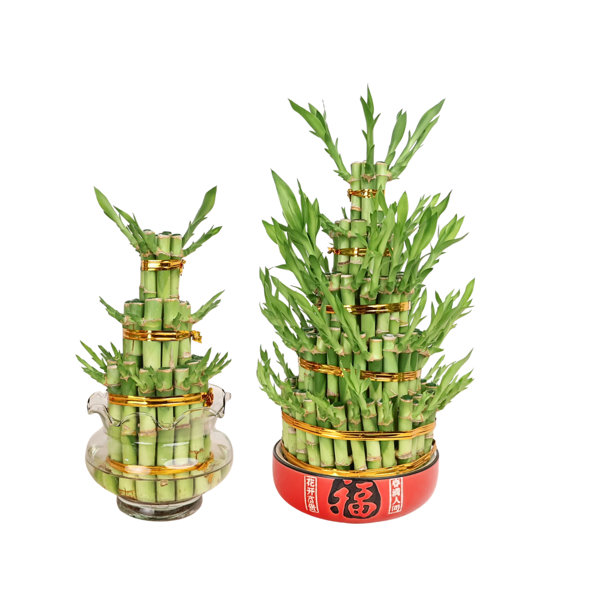 Lucky Bamboo Tower Undecorated (3/5 Layers)