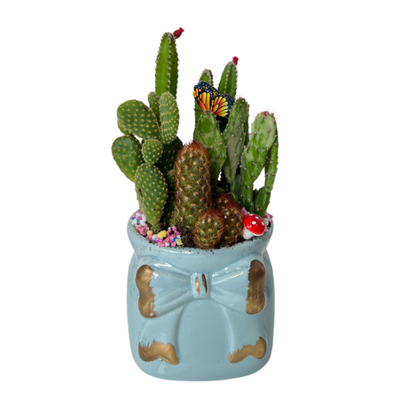 Cactus Arrangement - Assorted
