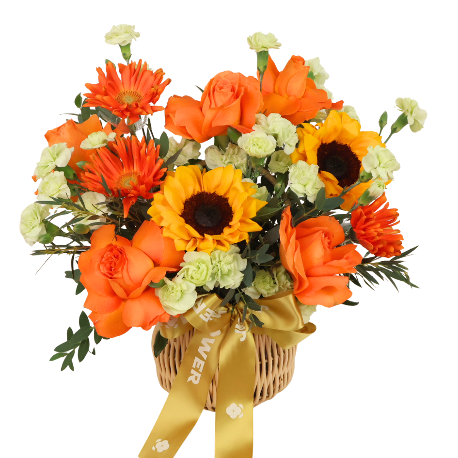Cadence (5 Roses) - Reflexed Rose Flower Basket