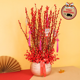 Fortune Willow (50 Stalks) - Pussy Willow