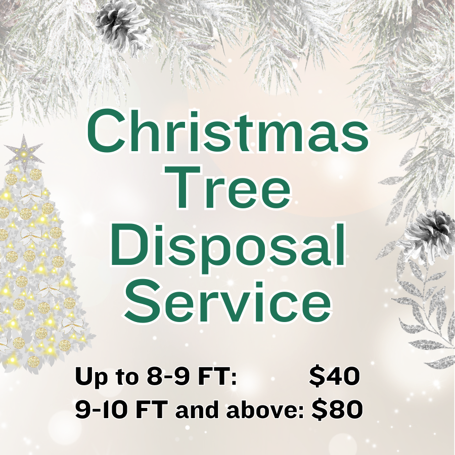 Christmas Tree Disposal Service