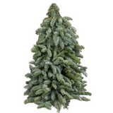 Mini Christmas Tree 50cm (Holland)