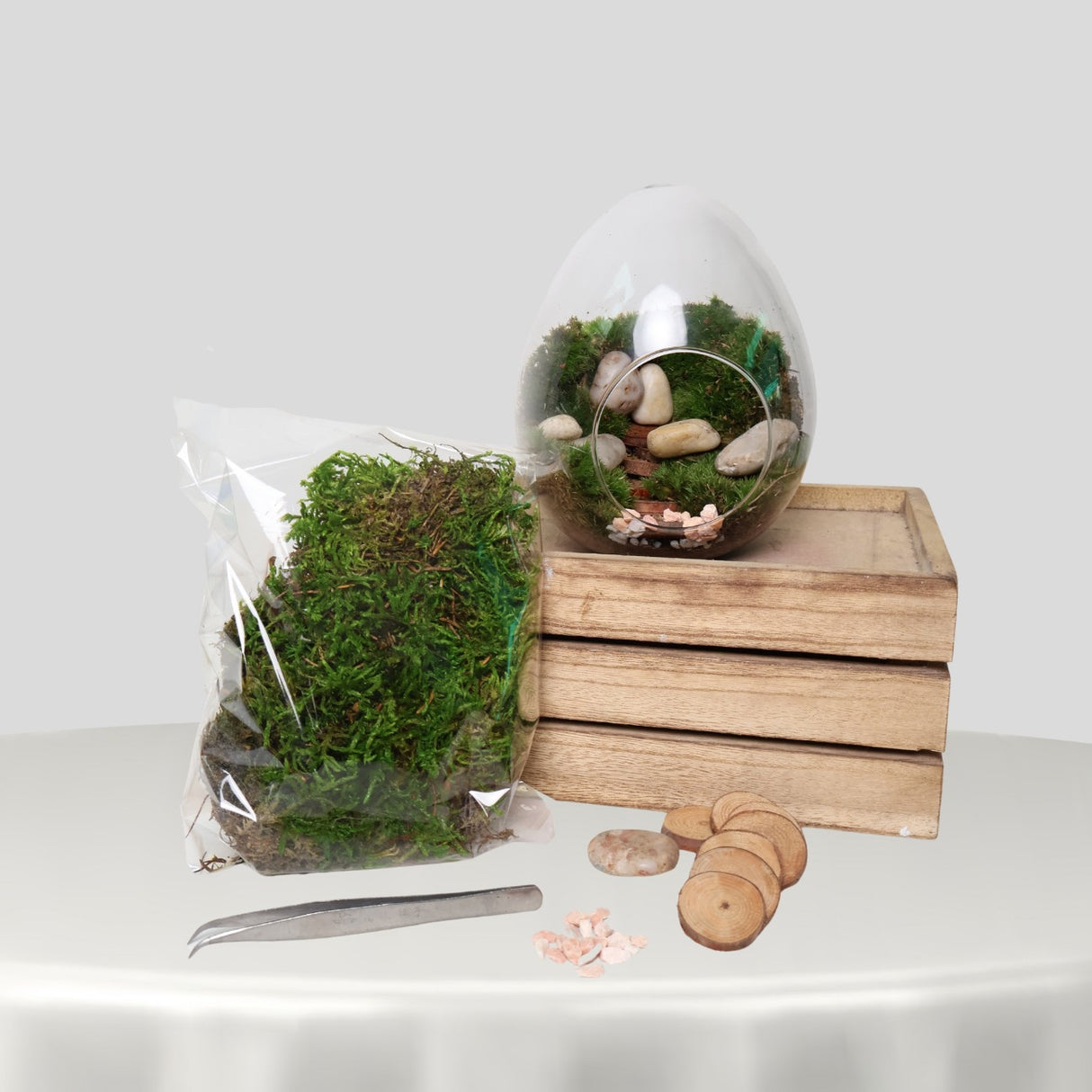 DIY Terrarium | Beginner Kit (Gift)