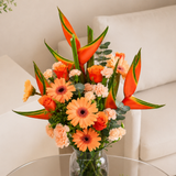 Ellie (5 Roses, 3 Gerberas) - Vase Arrangement